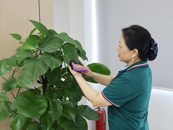 你真的了解保潔嗎？